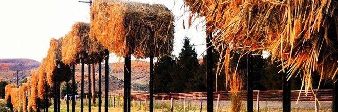 Flying Straw Bales Kickstarter